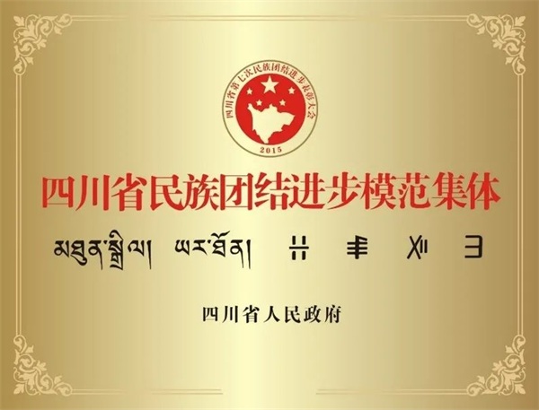 小卓瑪走下高原，千里就醫(yī) | 通用醫(yī)療三六三醫(yī)院的“藏漢情緣”(圖11)